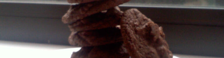 LaurenFoodE double chocolate cookies